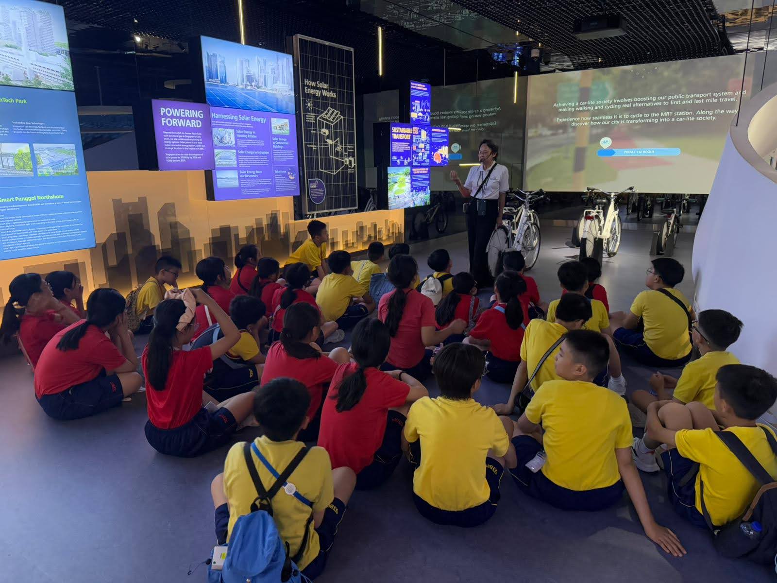 WhatsApp Image 2025-06-20 at 16.17.39 (2).jpeg