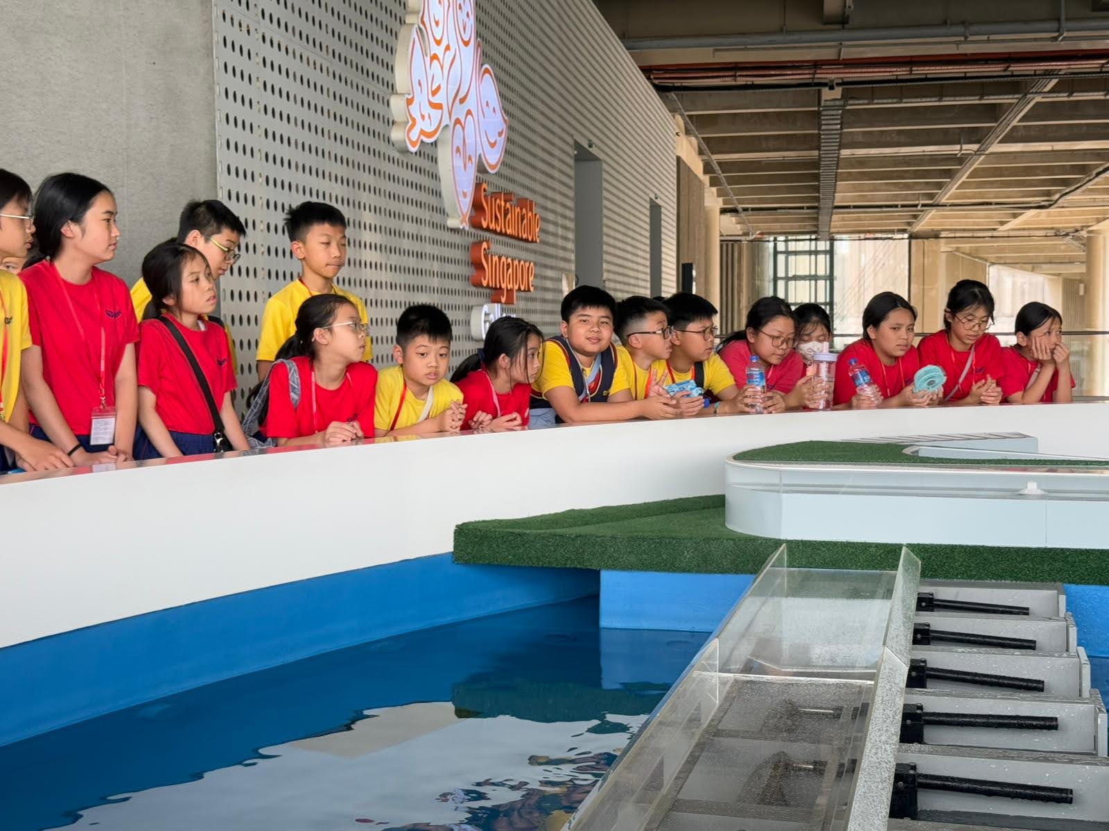 WhatsApp Image 2025-06-20 at 16.17.39.jpeg