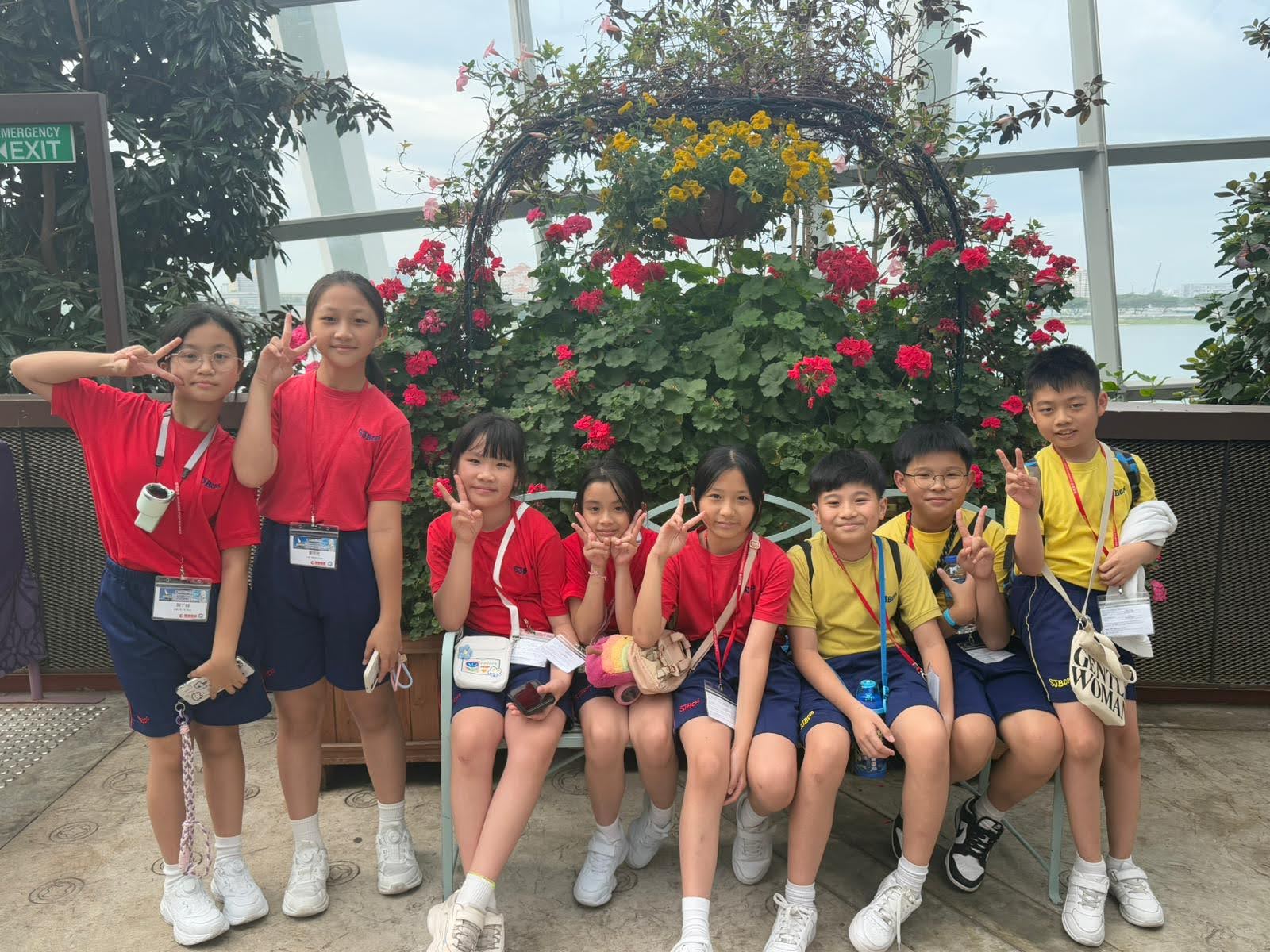 WhatsApp Image 2025-06-20 at 16.17.41.jpeg