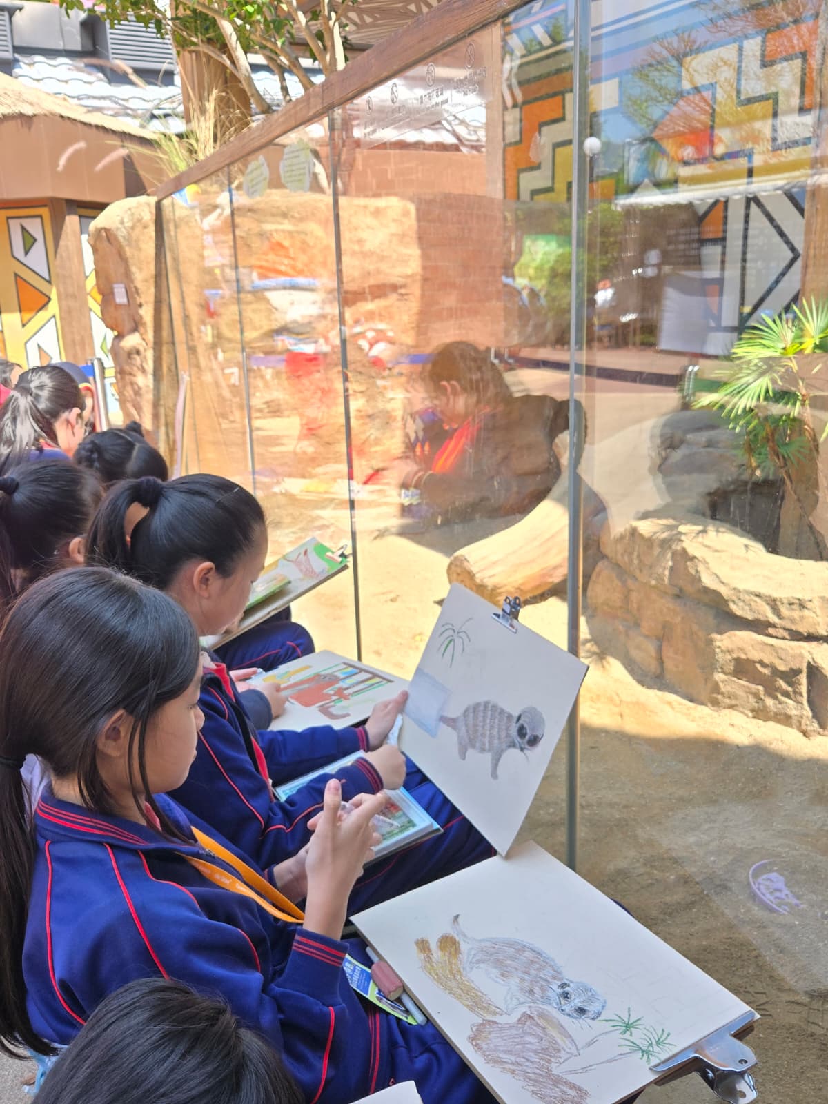 WhatsApp Image 2026-03-13 at 16.27.19.jpeg