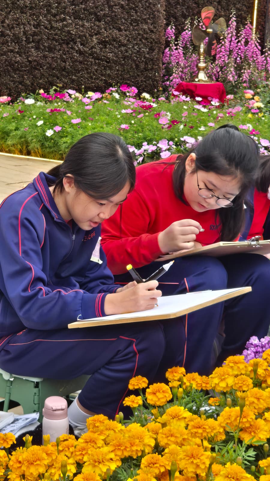 WhatsApp Image 2026-03-20 at 16.00.46.jpeg